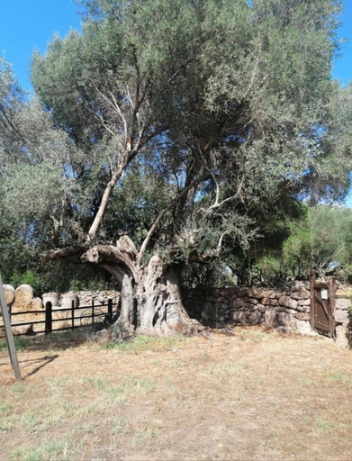 General view 2, Agriturismo Putzu Canu, Sassari