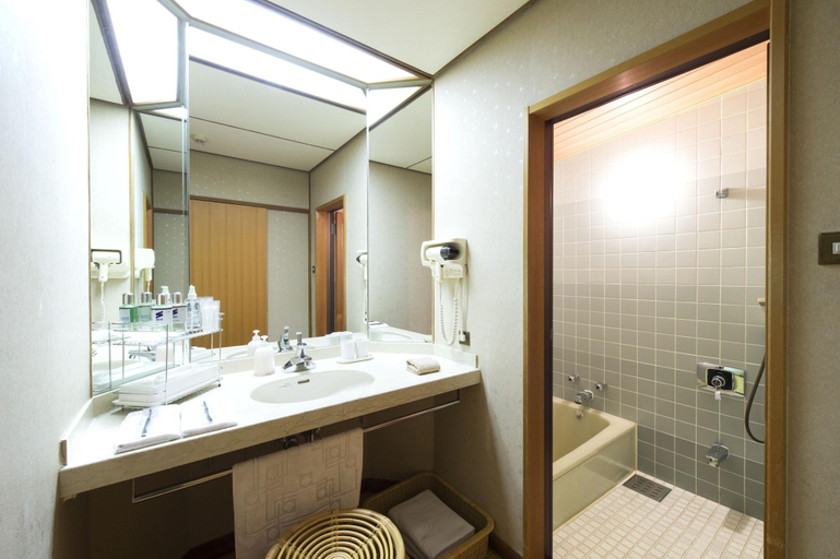 Bathroom 5, Fujiiso, Takayama