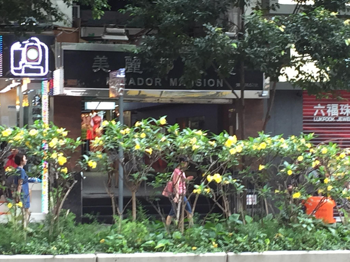 Exterior & Views 4, HK Peaceful Guesthouse, Kowloon