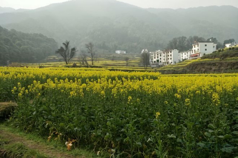 Others 2, Wuyuan Jiangling Garden Hostel, Shangrao