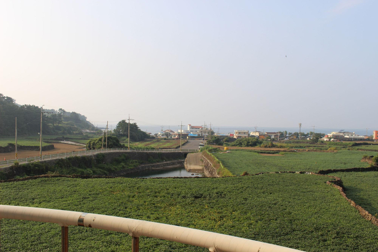 General view 1, Jeju Feel House, Jeju