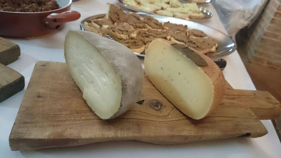 Food & Drinks 4, Podere Campovecchio, Siena