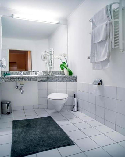 Bathroom 4, Fenix, Jelenia Góra City