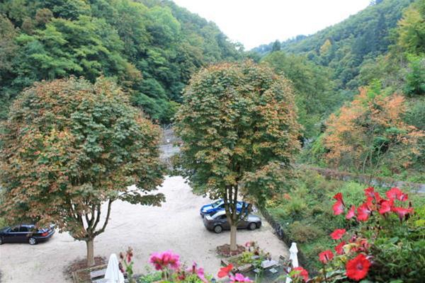 General view 3, Waldhotel Zur Winneburg, Cochem-Zell