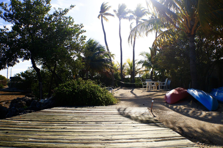 Exterior & Views 2, Conch Key Fishing Lodge and Marina, Monroe