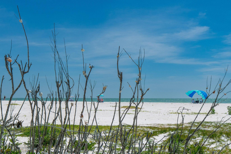 Beach 5, Estero Beach & Tennis C 707 - Wkly, Lee