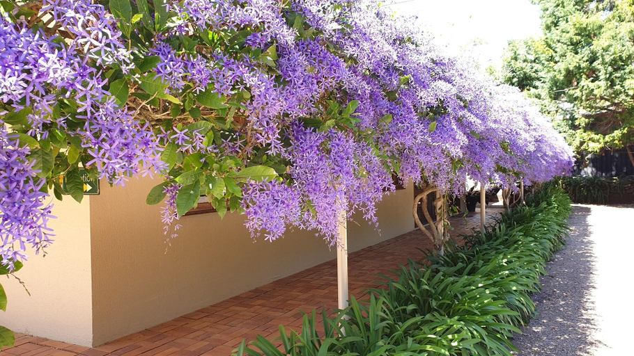 Lobby 3, Bendles Cottages and Country Villas, Caloundra - Rail Corridor