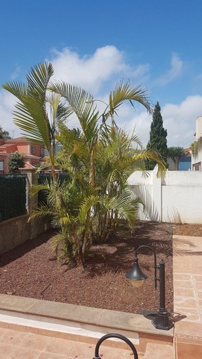 General view 5, Chalet Anagato, Santa Cruz de Tenerife
