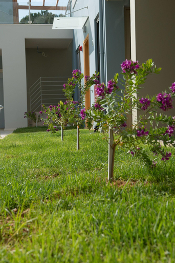 Exterior & Views 2, Mantinia Bay Hotel, Peloponnese