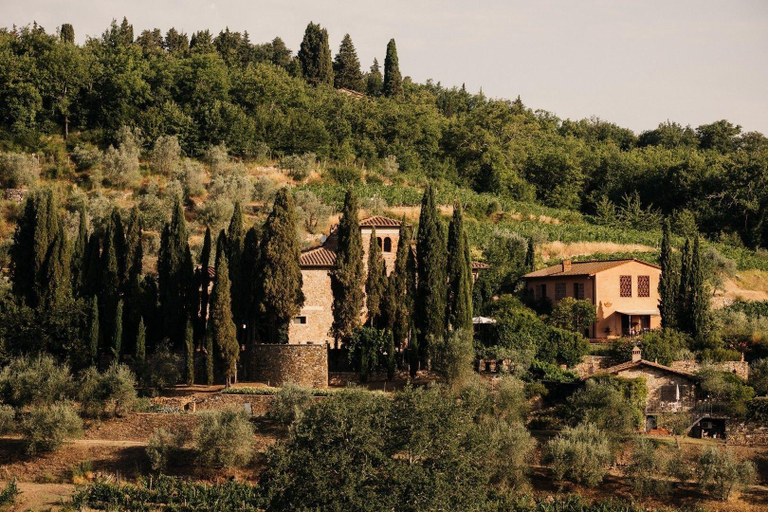 General view
