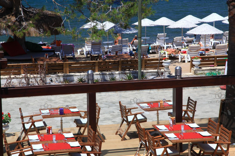 Food & Drinks 5, Mer-Can Story, Bodrum