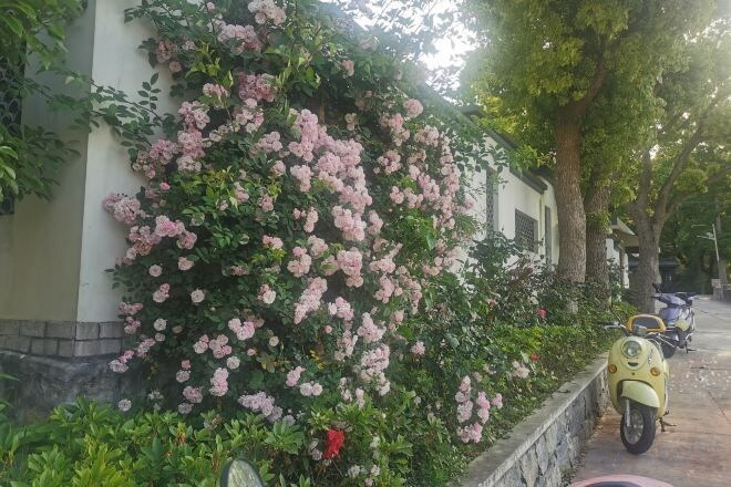 Others 3, Taohua Island Taoyuanli Homestay, Zhoushan