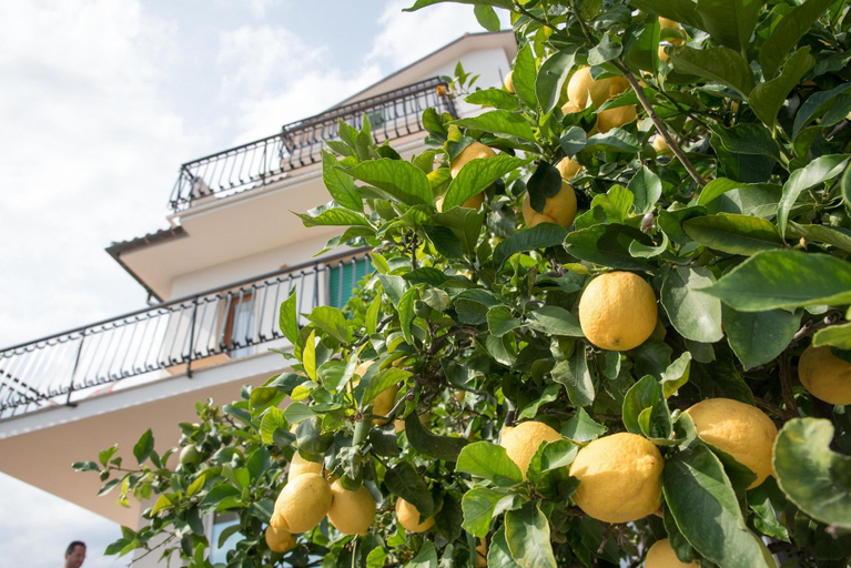 Room 2, Residence Oleandro, Savona