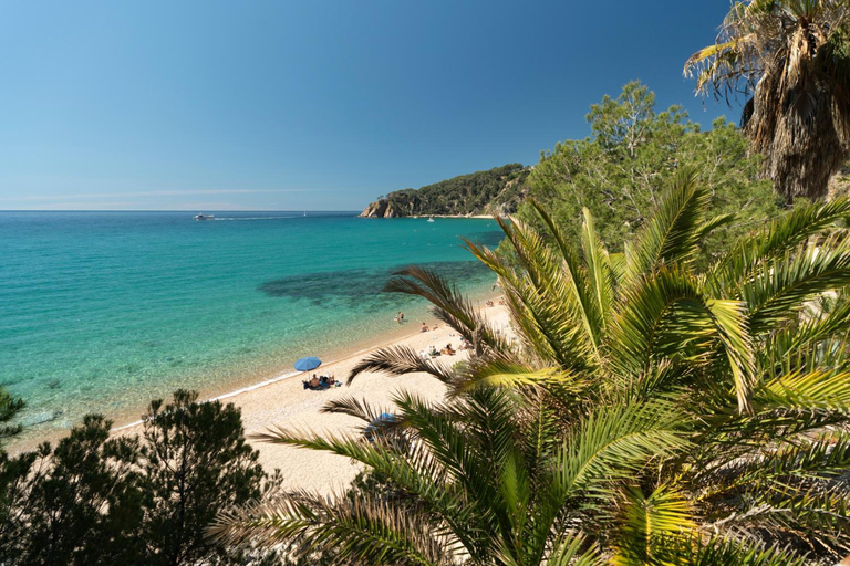 General view 5, T Luxury House In Cala Llevado, Girona