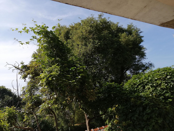 Room 3, Sithila Villa, Dehiwala-Mount Lavinia