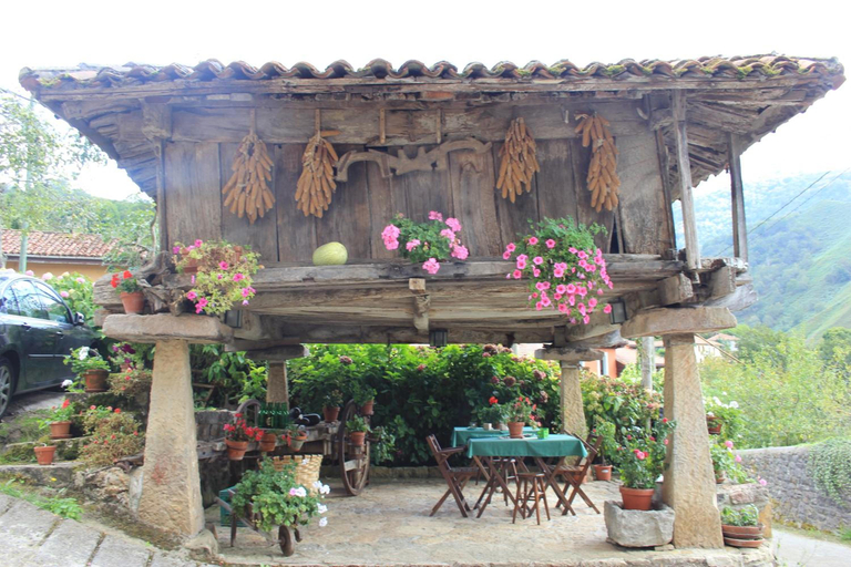 General view 2, El Colladin, Asturias