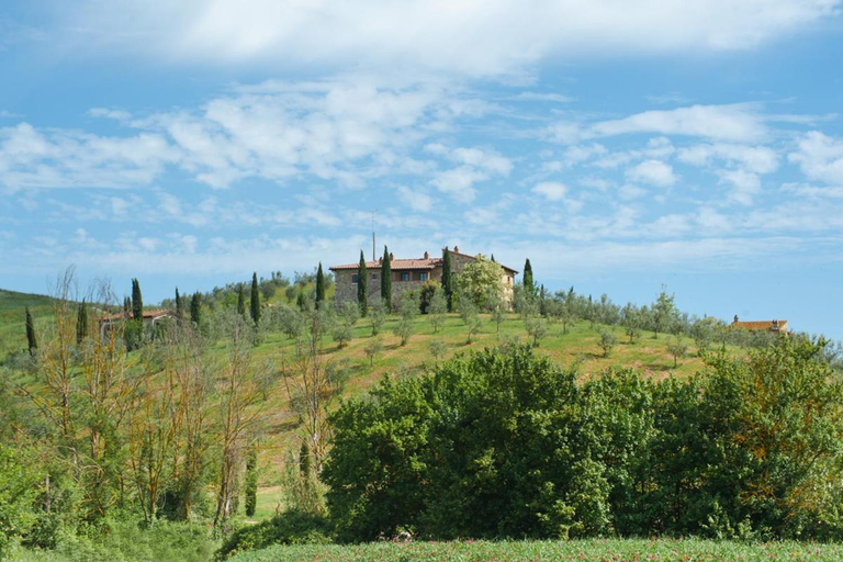 General view 2, Podere Campaini, Pisa