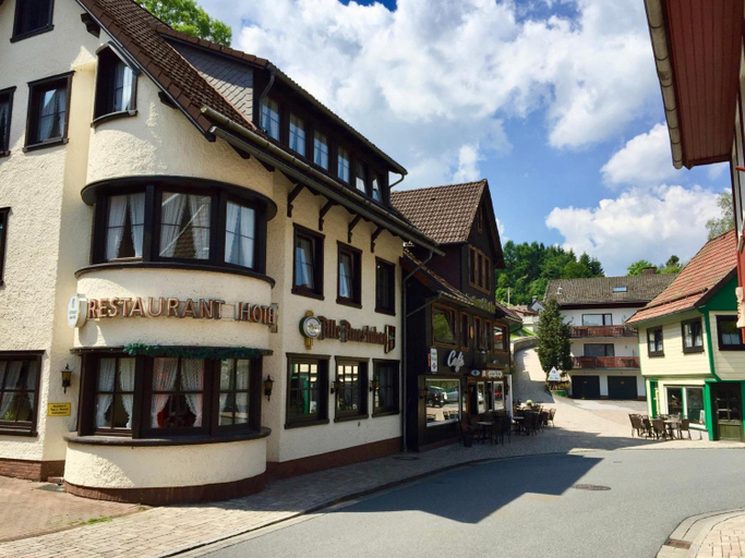 Exterior & Views 2, Landhotel Alte Aue, Goslar