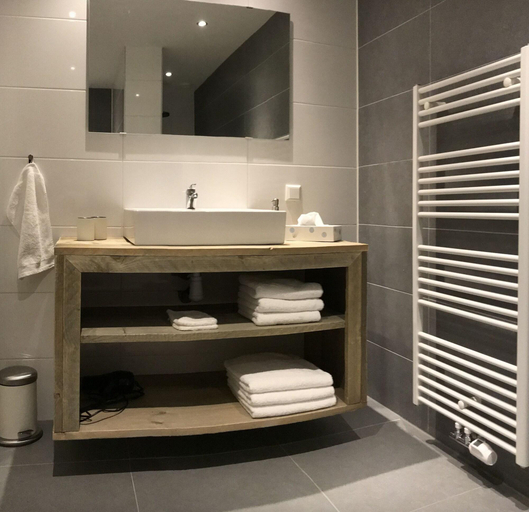 Bathroom 4, Gastenverblijf Rodenburg, Liesveld