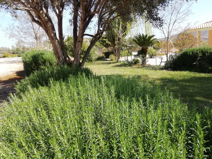 Public Area 3, Hotel VelaSole, Nuoro