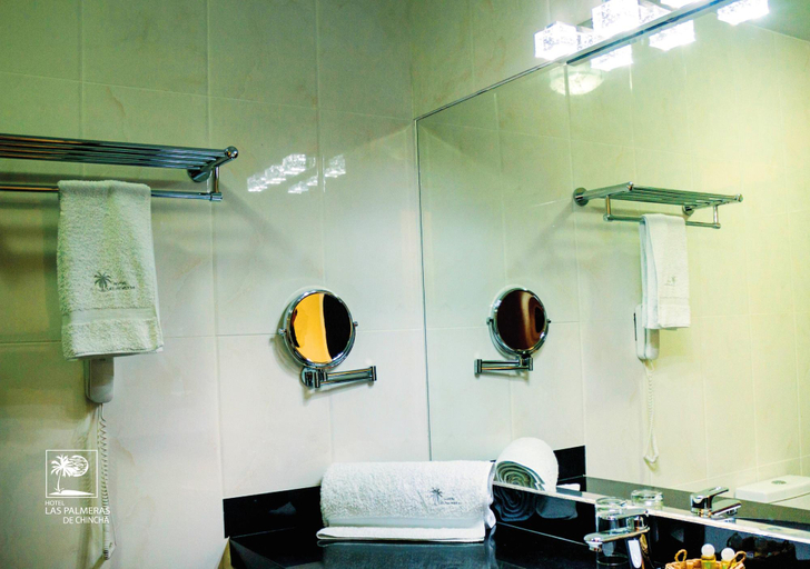 Bathroom 5, Qallwa Chincha, Chincha