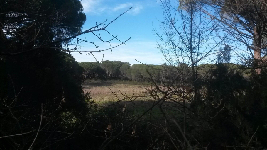 Exterior & Views 2, Les Mayombes, Var