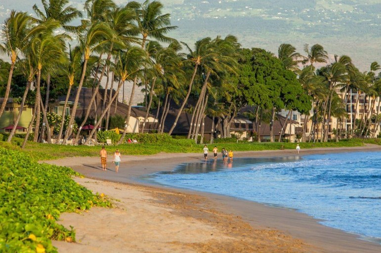 Others 2, Sugar Beach, Maui