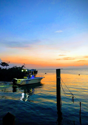 Exterior & Views 2, Conch Key Fishing Lodge and Marina, Monroe