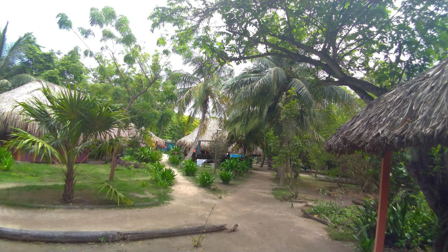 General view