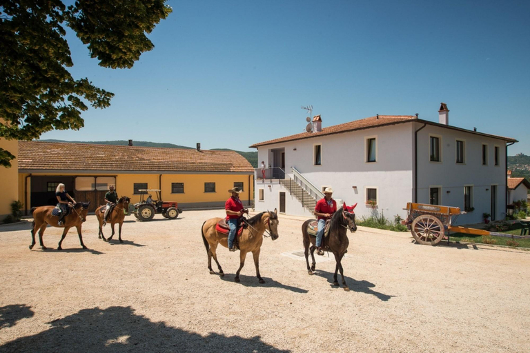 Sports and Entertainment 3, Fattoria Didattica La Collina Incantata, Terni