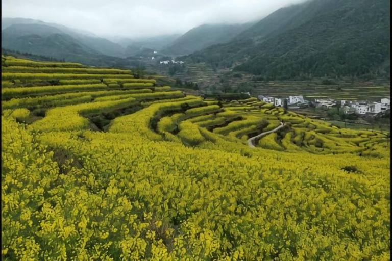 Others, Wuyuan Jiangling Garden Hostel, Shangrao