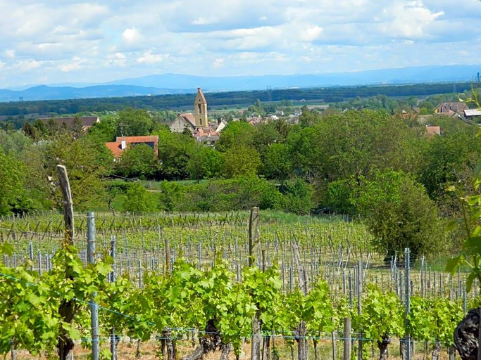 Public Area 3, Hostellerie du Château, Haut-Rhin
