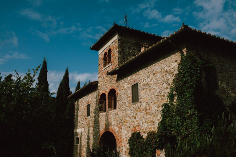 General view 5, Terre Di Baccio, Florence