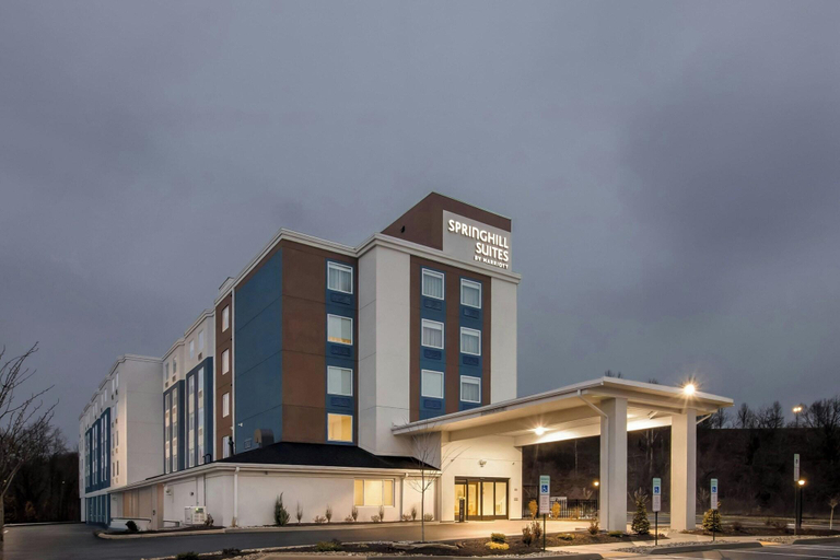 General view 5, Springhill Suites Pittsburgh Airport, Allegheny
