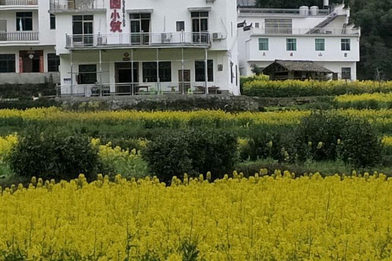 Others 4, Wuyuan Jiangling Garden Hostel, Shangrao