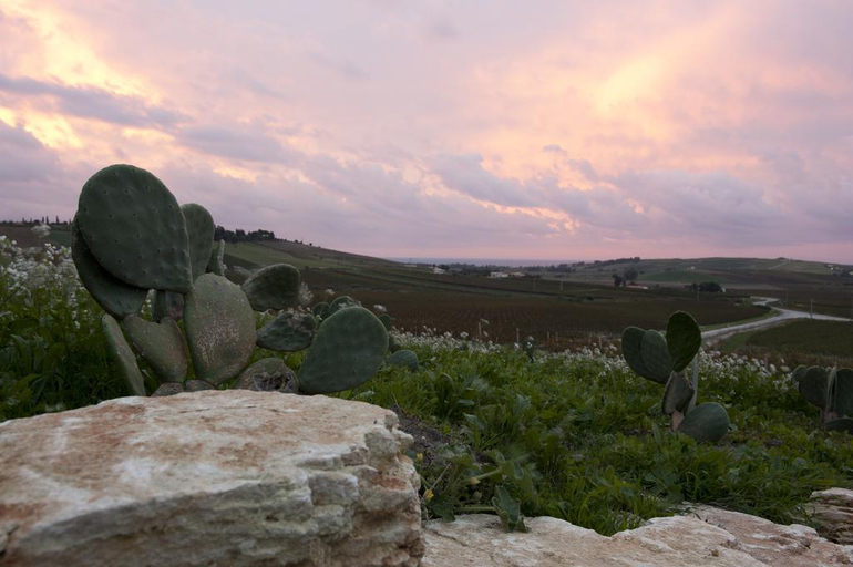 Exterior & Views 1, Foresteria Planeta, Agrigento