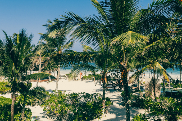 Beach, Mía Tulum Beachfront Resort, Cozumel