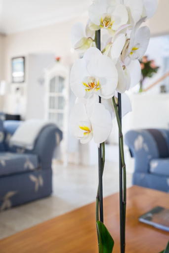 Public Area 3, Atlantic Beach Villa, City of Cape Town