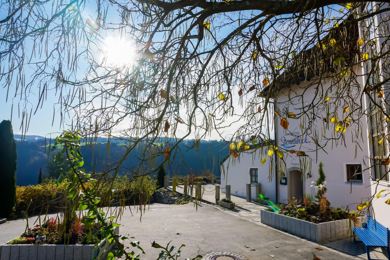 Exterior & Views 2, Landhotel Donaublick, Passau