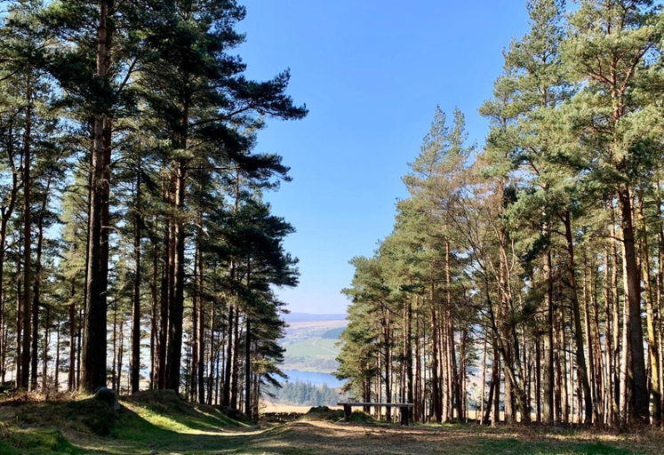 General view 5, Swinton Bivouac, North Yorkshire