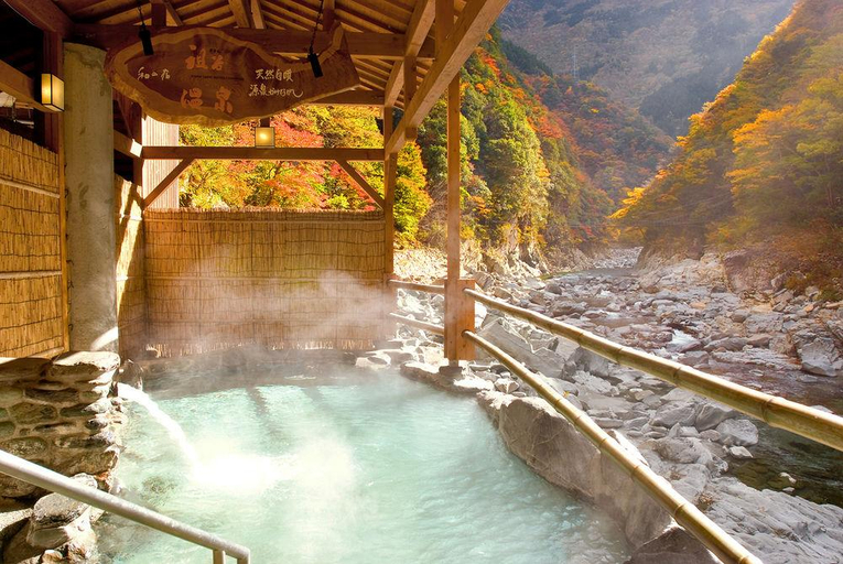 General view 5, Wanoyado Hotel Iya Onsen Natural Hot Spring, Miyoshi