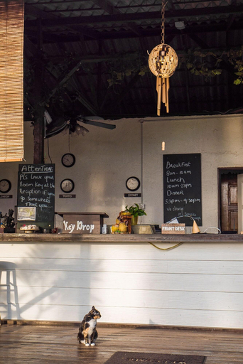 Public Area, 1511 Coconut Grove, Mersing