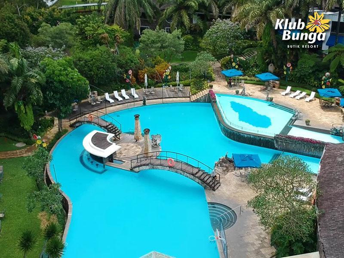 Pool, Klub Bunga Butik Resort, Malang