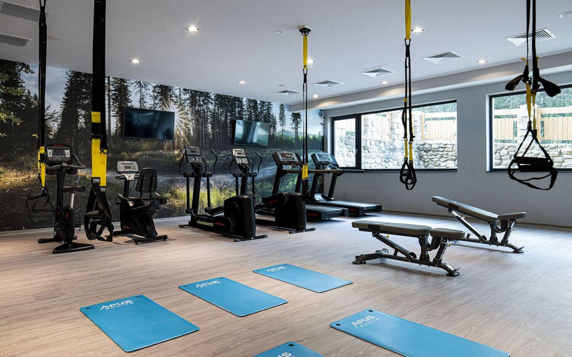 Sports and Entertainment 5, Platinum Mountain Resort & SPA, Jelenia Góra
