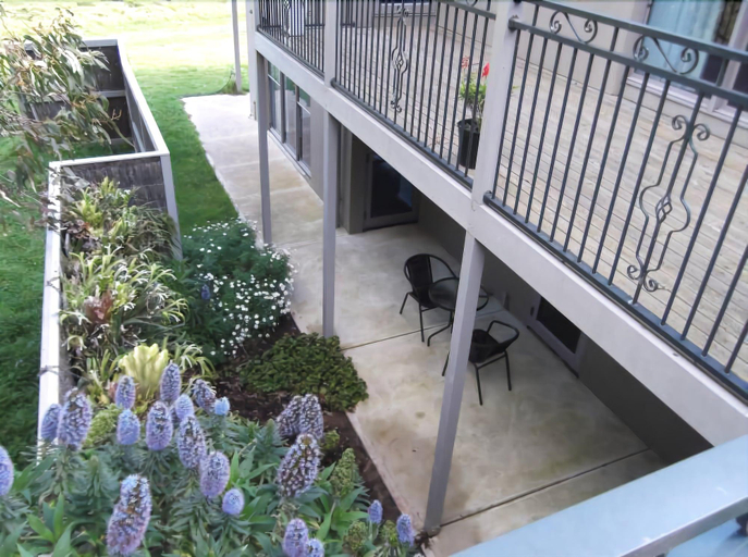 General view 4, Swan Lake Guest House, Bass Coast  - Phillip Is.