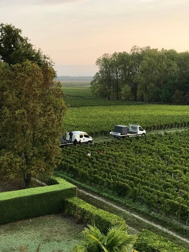 General view 2, Chateau Marojallia, Gironde
