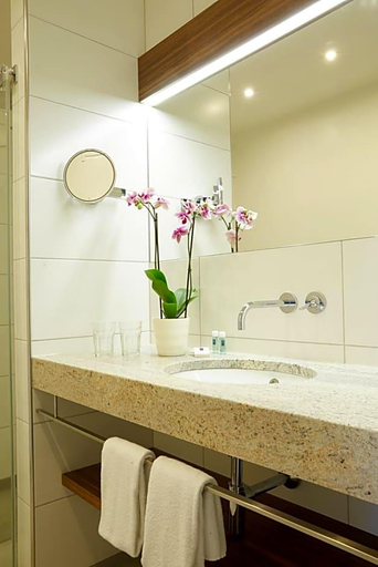 Bathroom 1, Pfaffinger Hof, Rosenheim