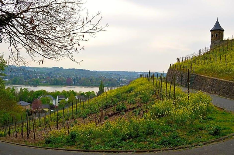 Public Area 3, Weinhaus Hoff, Rhein-Sieg-Kreis