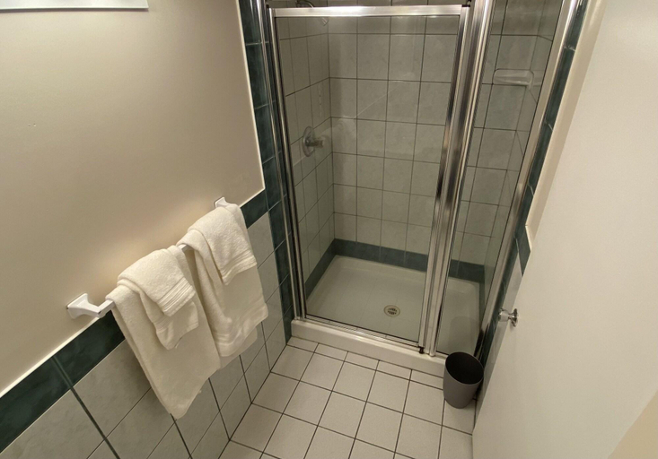 Bathroom 4, Western Lodge, East Kootenay