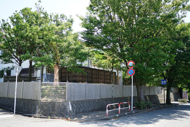 General view